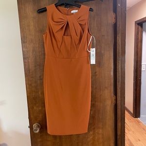 Burnt Orange Calvin Klein Sheath Dress sz 8